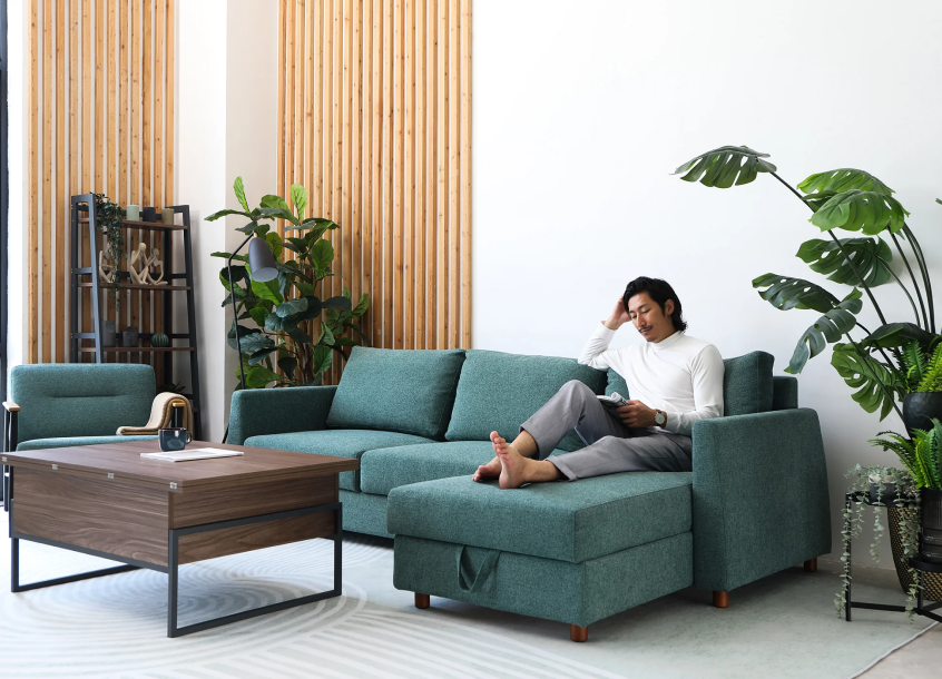 Sofa Bed Maintenance Tips For Longevity and Care