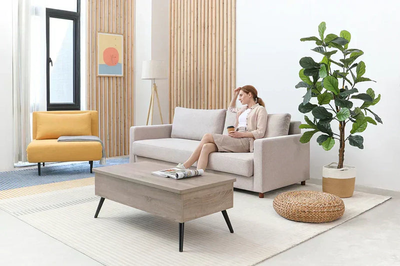 Sofa Beds That Fit Florida Lifestyles: Function, Fashion, and Comfort