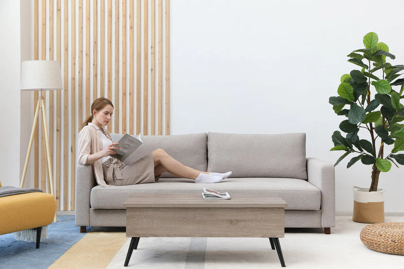 Sofa Beds for the Holiday Season: Multi-Purpose Furniture for Festive Gatherings