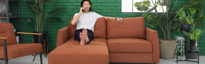 Sofa Bed for Guest Room