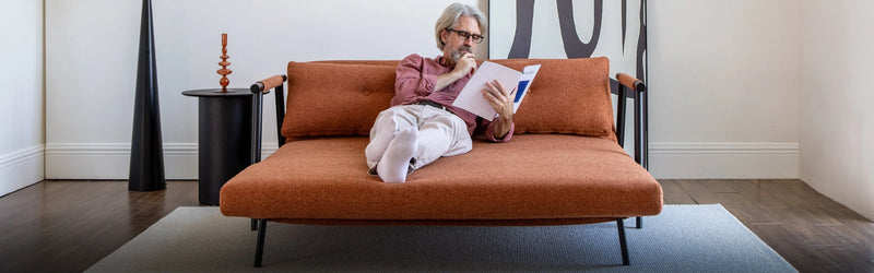 Sleeper Sofa Color Collections