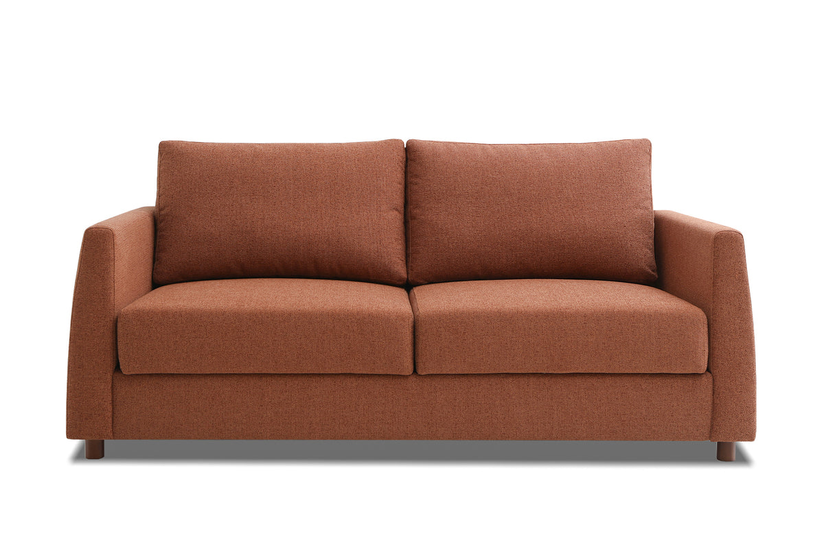 Blaine 2 Seat Sofa Bed