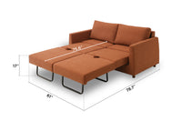 Blaine 2 Seat Sofa Bed