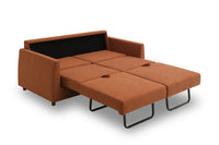 Blaine 2 Seat Sofa Bed