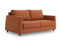 Blaine 2 Seat Sofa Bed