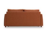 Blaine 2 Seat Sofa Bed