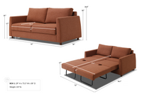 Blaine 2 Seat Sofa Bed