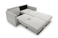 Blaine 2 Seat Sofa Bed