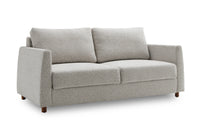 Blaine 2 Seat Sofa Bed