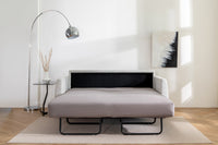 Blaine 2 Seat Sofa Bed
