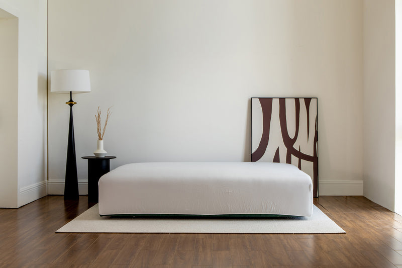 Duncan sofa bed with queen fitted sheet